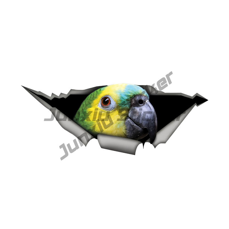 Blue Fronted Amazon Parrot Aut - Car Accessories Amazon recensie en prijs